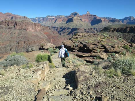 Plateau Point Trail