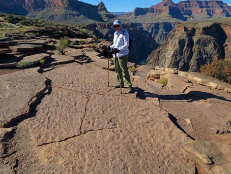 Plateau Point Trail