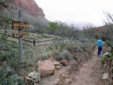 Indian Garden Campground