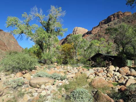 Bright Angel Trail