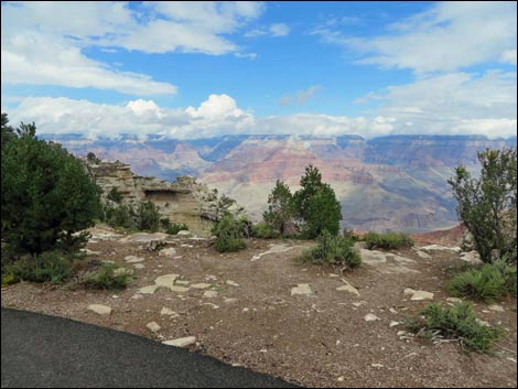 Rim Trail