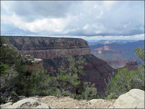 Rim Trail