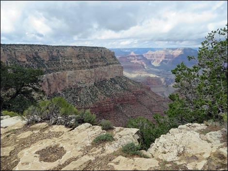 Rim Trail