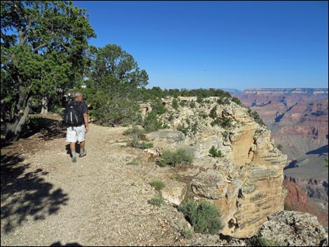 Rim Trail