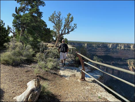 Rim Trail