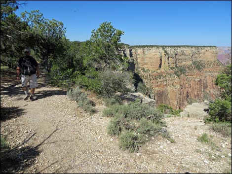 Rim Trail