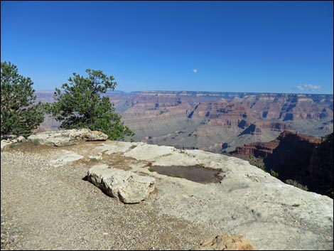 Rim Trail