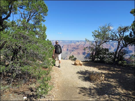 Rim Trail