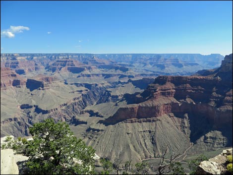 Rim Trail