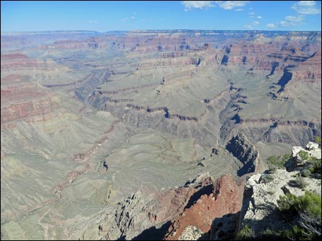 Rim Trail