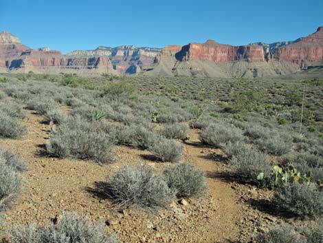 Tonto East Trail