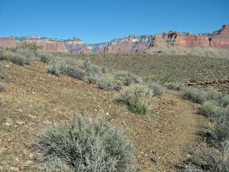 Tonto East Trail