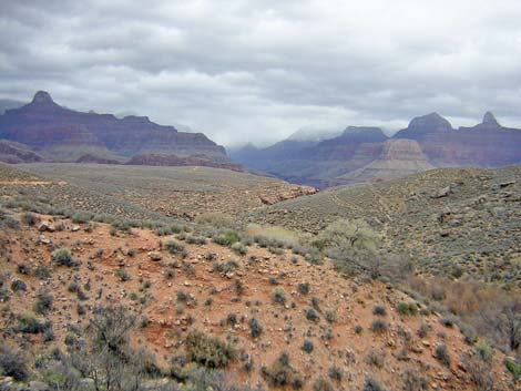 Plateau Point Trail