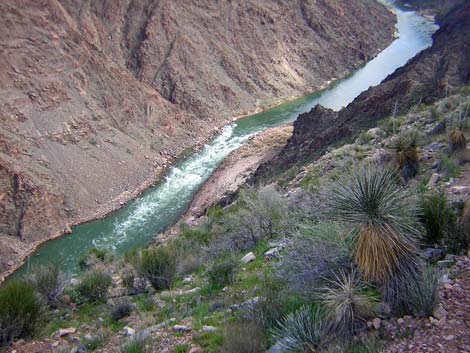 Tonto West Trail