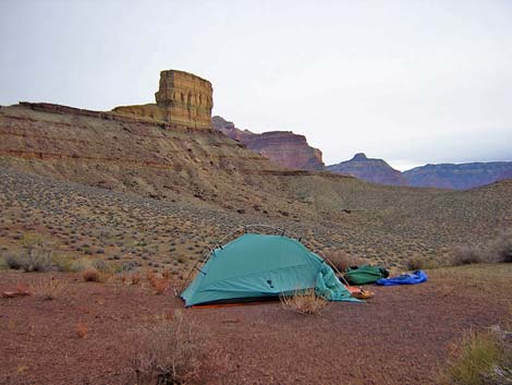 Tonto West Trail