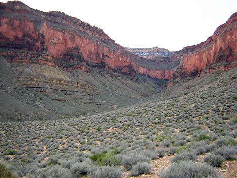 Tonto West Trail