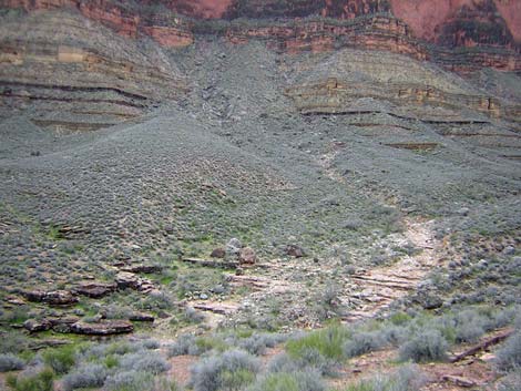 Tonto West Trail