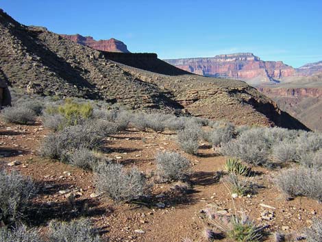 Tonto West Trail