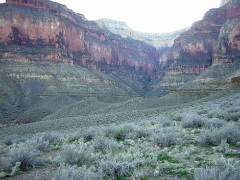 Tonto West Trail