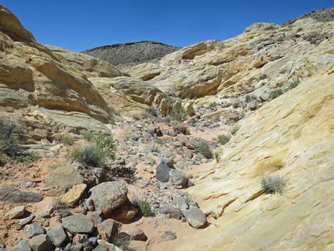 Amber Cat Canyon