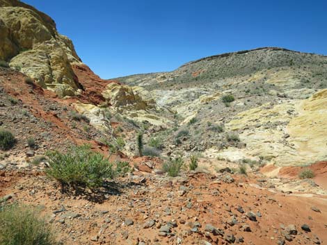 Amber Cat Canyon