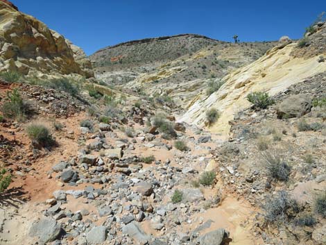 Amber Cat Canyon