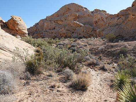 Doodlebug Arch