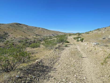 Bauer Mine