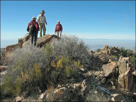 Billy Goat Peak