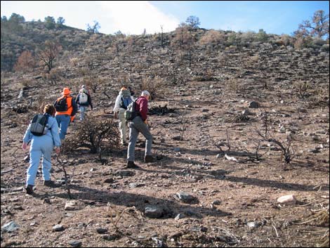 Billy Goat Peak