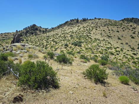 Billy Goat Peak