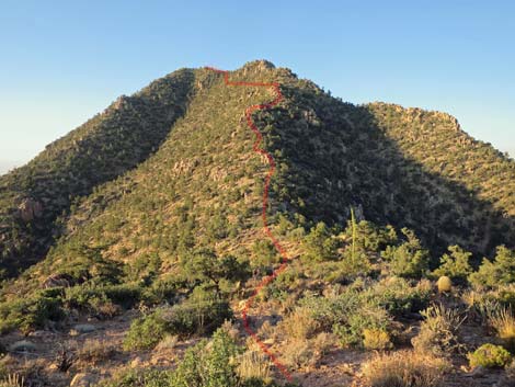 Billy Goat Peak