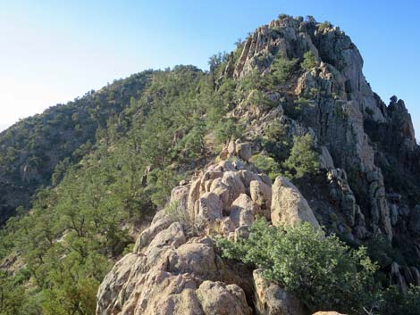 Billy Goat Peak