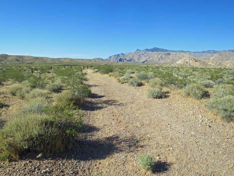 Black Butte Dam Loop