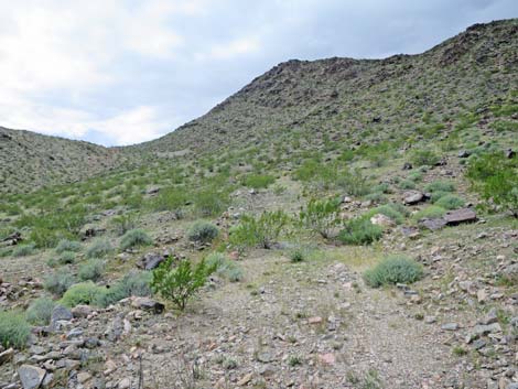 Black Ridge Mine