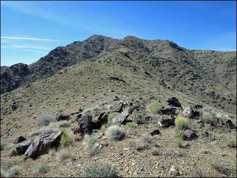 Bonelli Peak