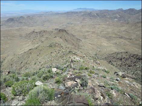 Bonelli Peak