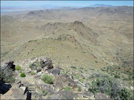 Bonelli Peak