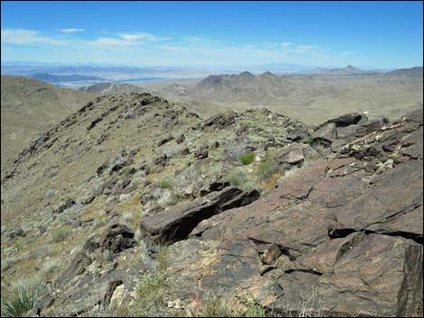 Bonelli Peak