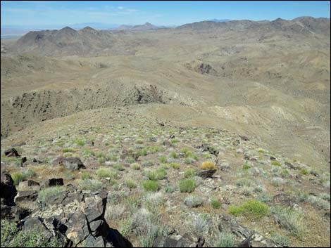 Bonelli Peak