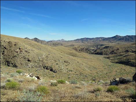 Bonelli Peak