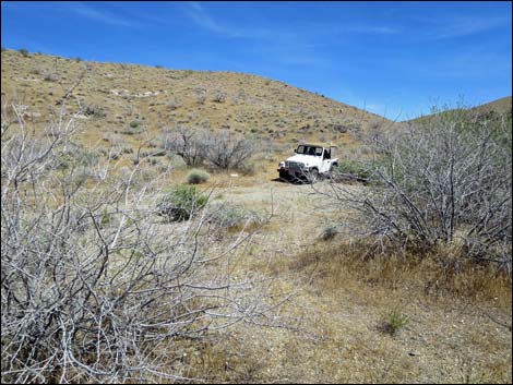 Bonelli Peak