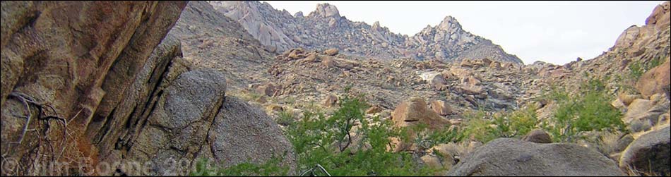 Cottonwood Canyon, Gold Butte