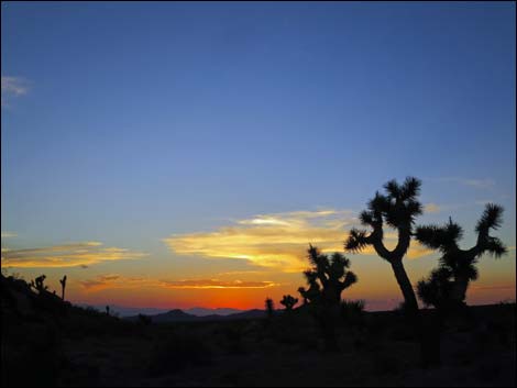 First Rock Campsites