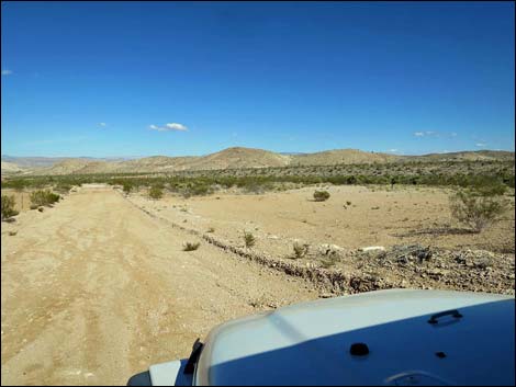 Wellhead Campsite