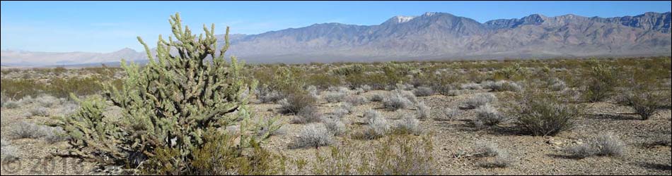 Gold Butte - Mesquite Area Campsites