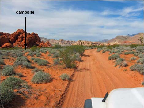 Mud Wash Dunes Campsite