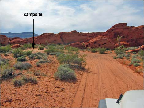 Mud Wash Dunes Campsite