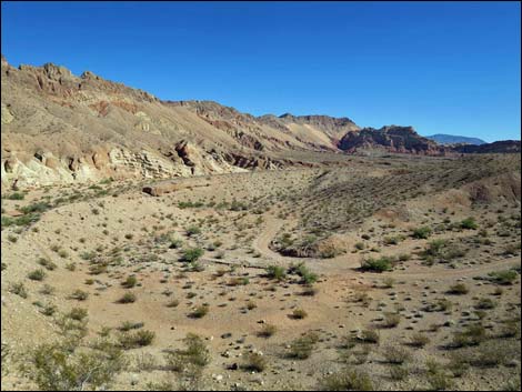 Red Bluff Spring Overlook Campsite