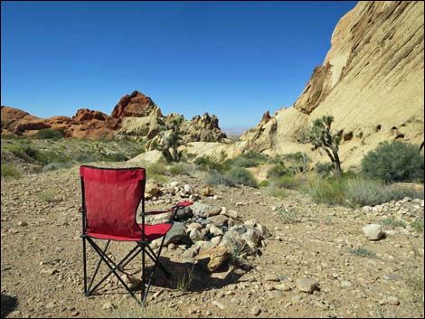 Whitney Pocket Campsite